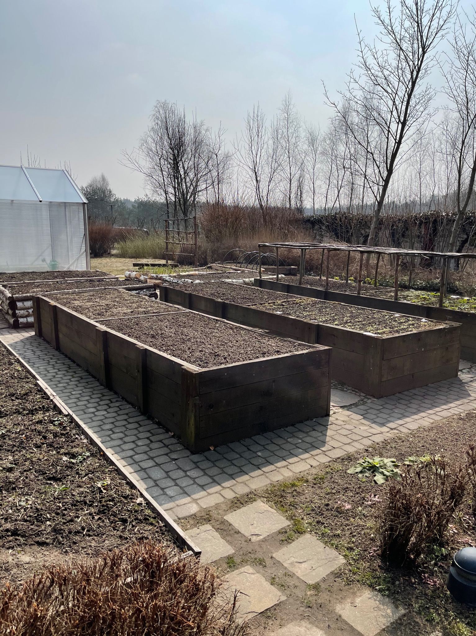 Przygotowane, drewniane skrzynie na podwyższonych grządkach wypełnione ziemią, otoczone brukowaną ścieżką, w tle szklarnia i nagie drzewa.