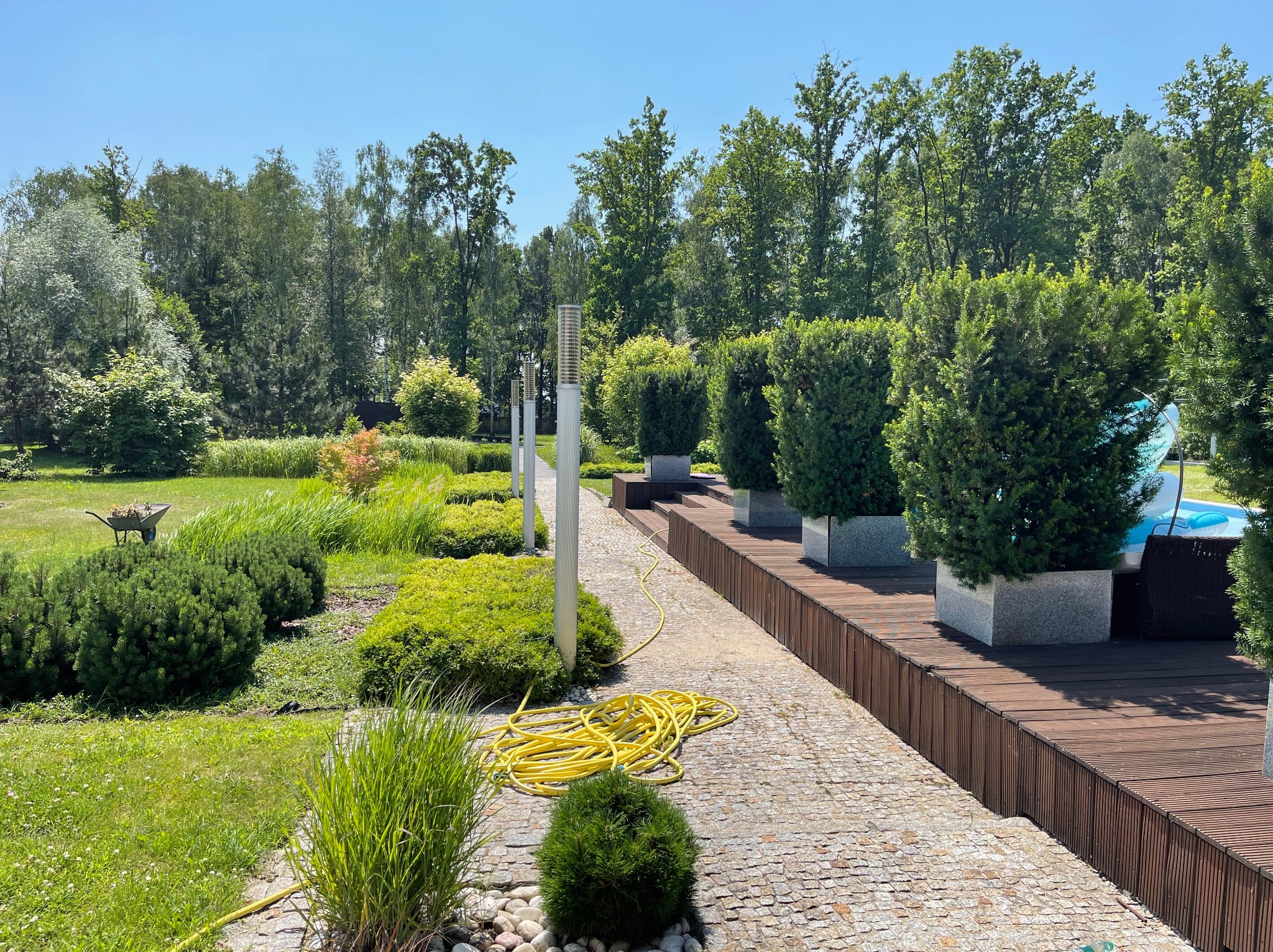 Widok na zadbany ogród z kamienną ścieżką, drewnianym podestem, kulistymi krzewami w donicach, lampami ogrodowymi i żółtym wężem ogrodowym leżącym na ścieżce, w tle widać drzewa i wózek z roślinami.