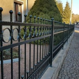 Baza-zaune - Czarne, metalowe ogrodzenie z okrągłymi dekoracjami na tle domu i zieleni.