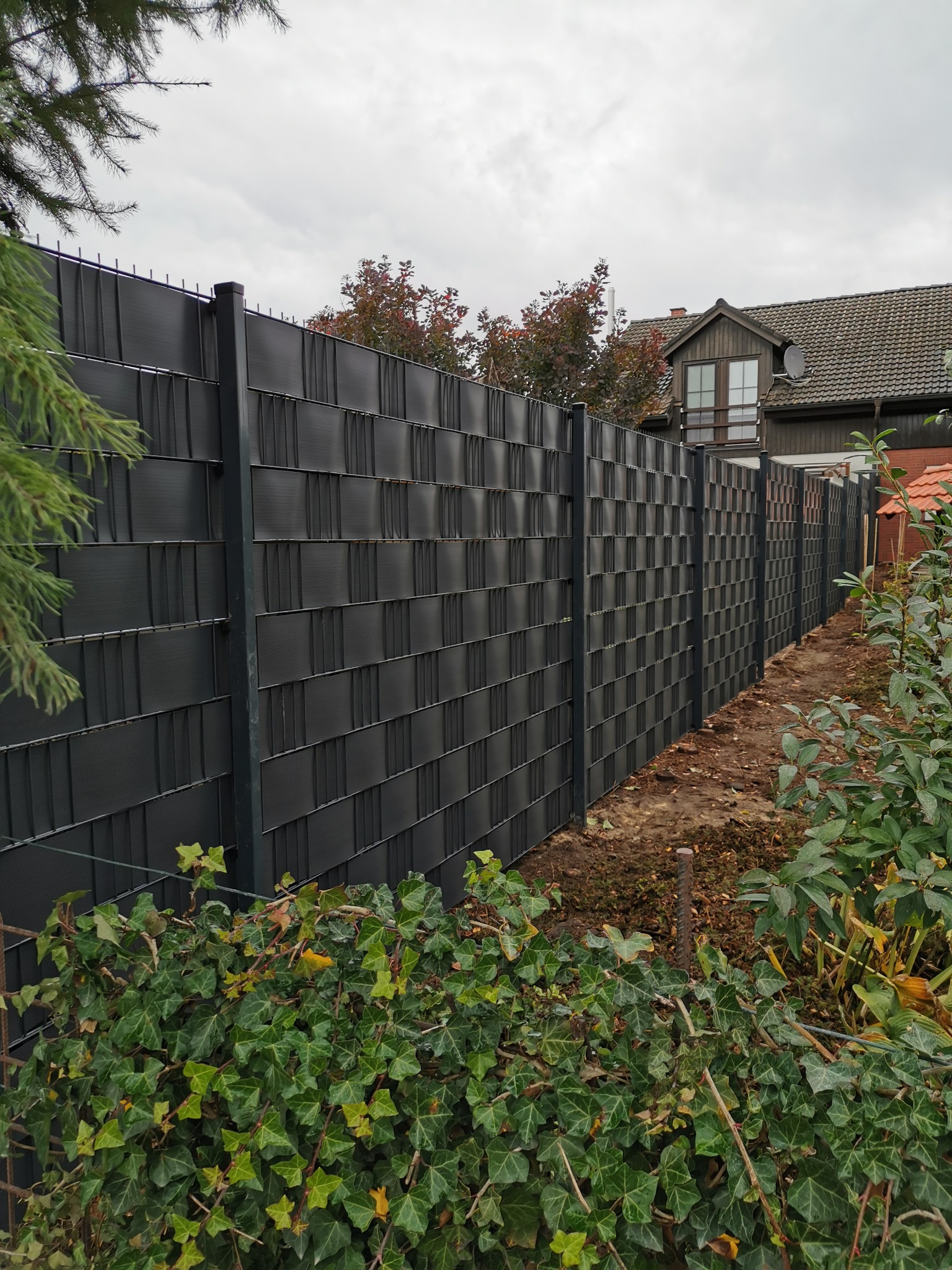 Długi, grafitowy system ogrodzeniowy z paneli kompozytowych o wzorze szachownicy, oddzielający posesję od sąsiadów, z widoczną zielenią w tle i pnączami bluszczu u podstawy.