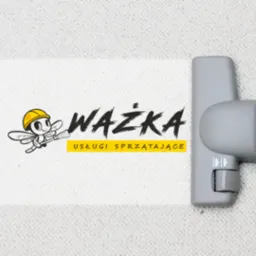 Głowica odkurzacza na jasnym dywanie z widocznym śladem czyszczenia, obok logo firmy sprzątającej Ważka z motywem owada w kasku.