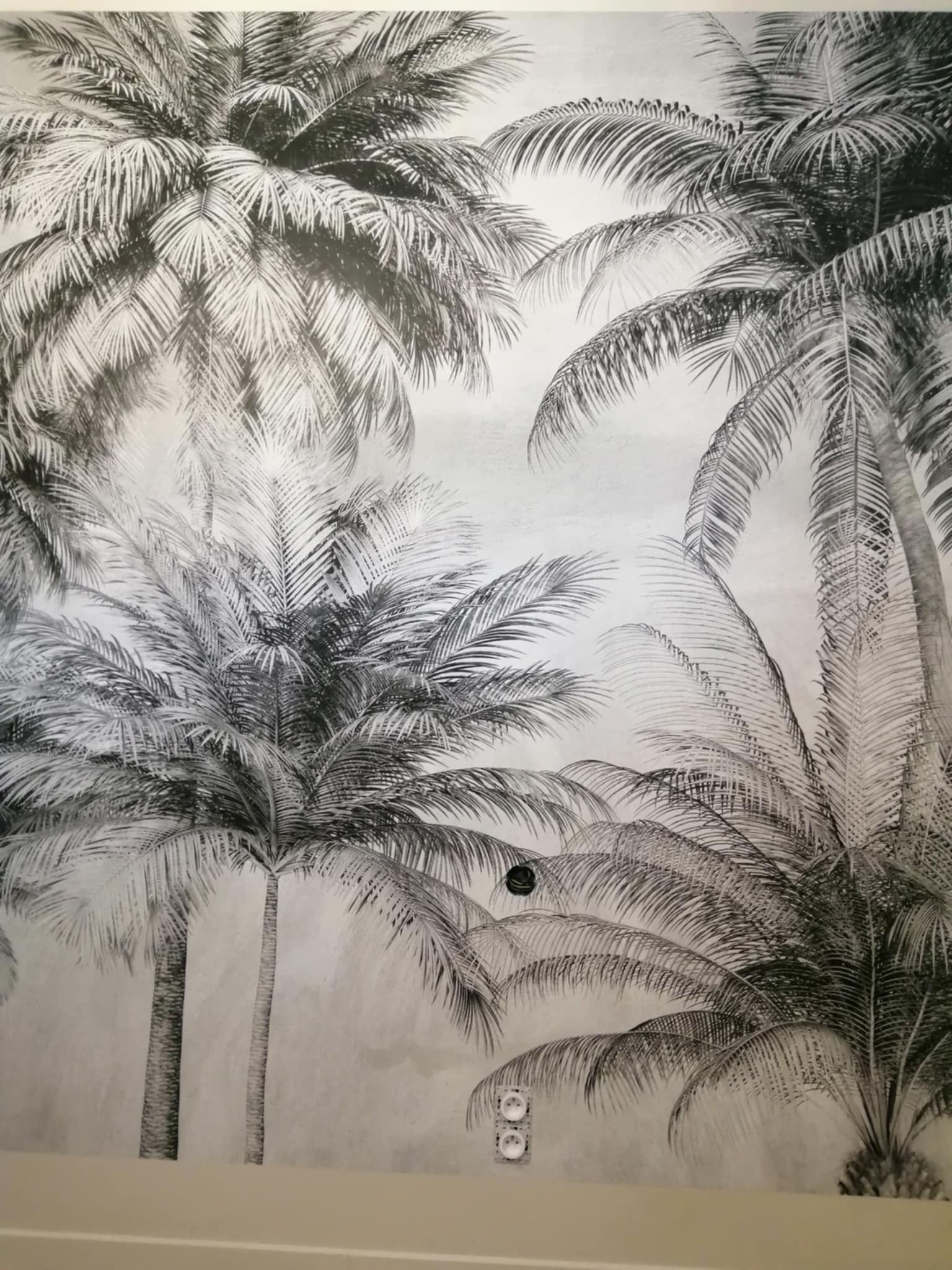 Czarno-biała fototapeta z motywem palm na ścianie w pokoju, widoczne gniazdka elektryczne i włącznik światła. Dekoracja wnętrza w stylu tropikalnym.