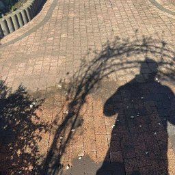 Dawid Zięba - Ułożona kostka brukowa w odcieniach brązu, obramowana zielenią i kwiatami, z cieniem osoby i drzewa rzucającym się na nawierzchnię. Brama w tle.