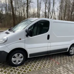 Biały samochód dostawczy na kostce brukowej z drzewami w tle, widok z boku, lekko pochmurna pogoda.