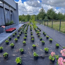 ZIELENIAK Magdalena Bukowska - Prace Duże, gm. Tarczyn