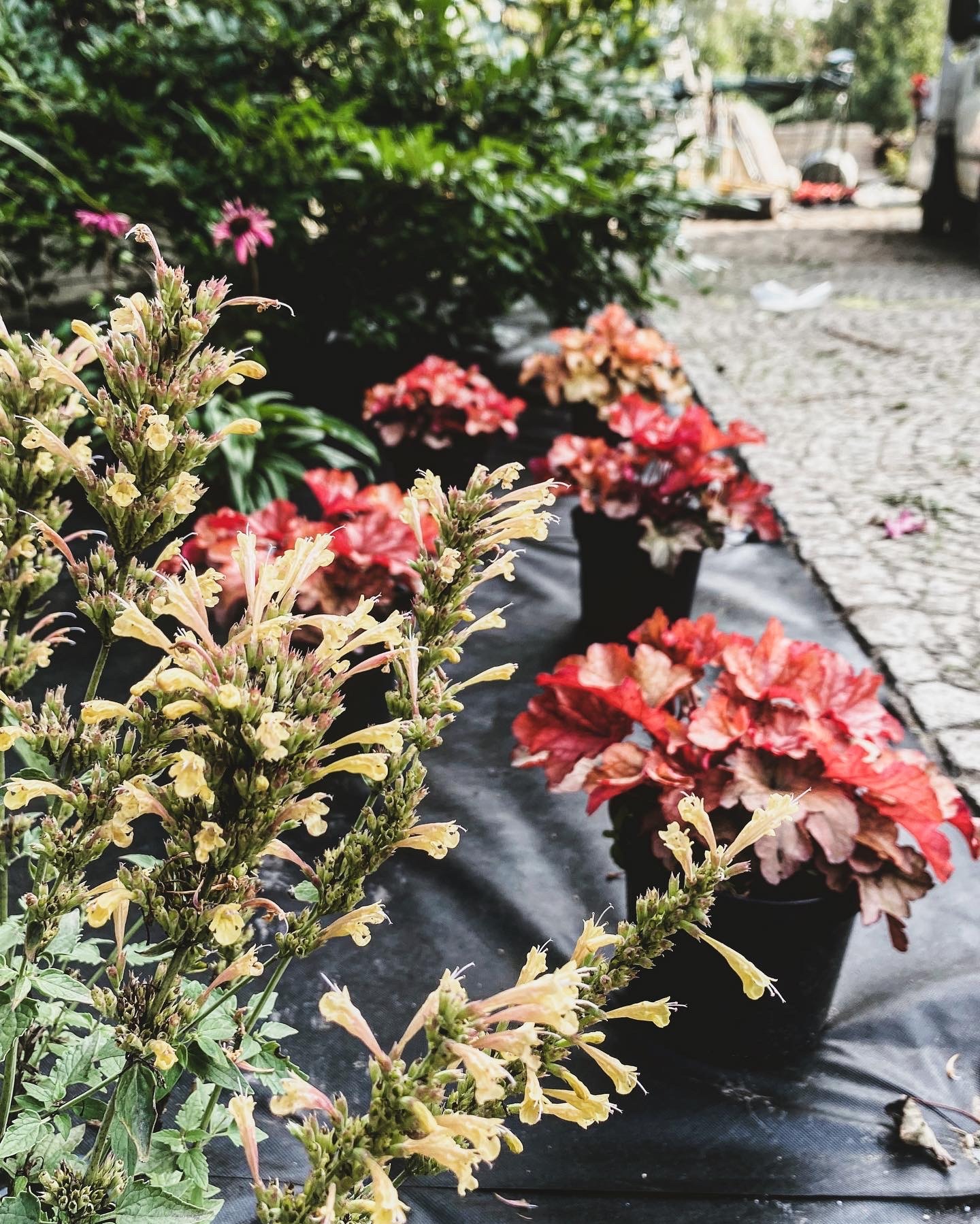 Grodzisk Mazowiecki, ul. Kasprowicza