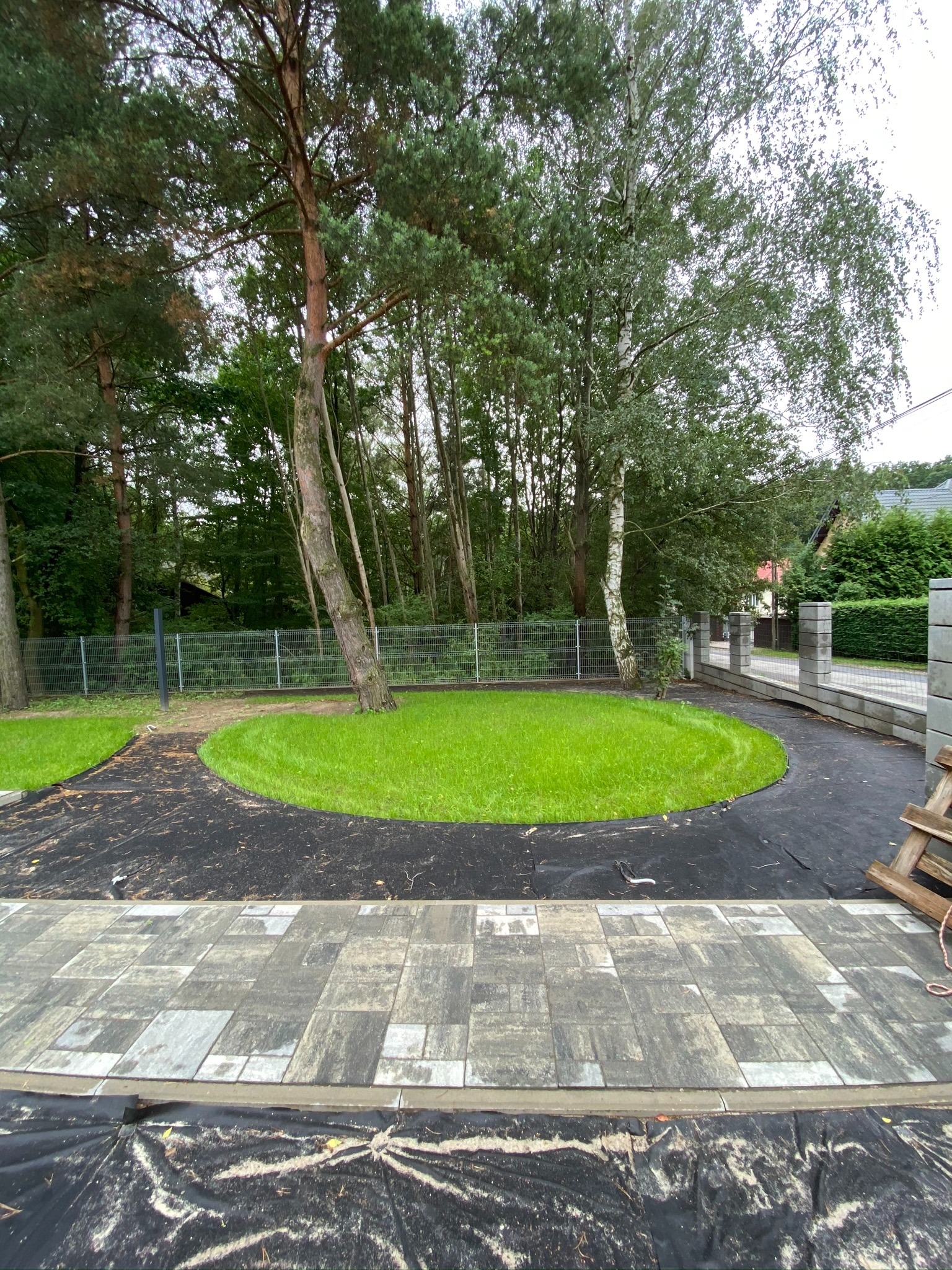 Okrągły trawnik otoczony czarną agrowłókniną, graniczący z szarą kostką brukową i ogrodzeniem z siatki, z drzewami w tle. Widoczne elementy konstrukcyjne w rogu kadru.