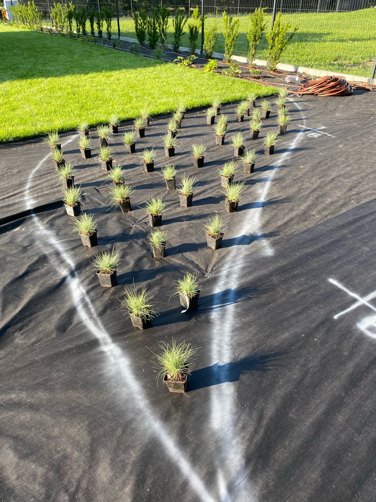 Kałęczyn, gm. Grodzisk Maz.