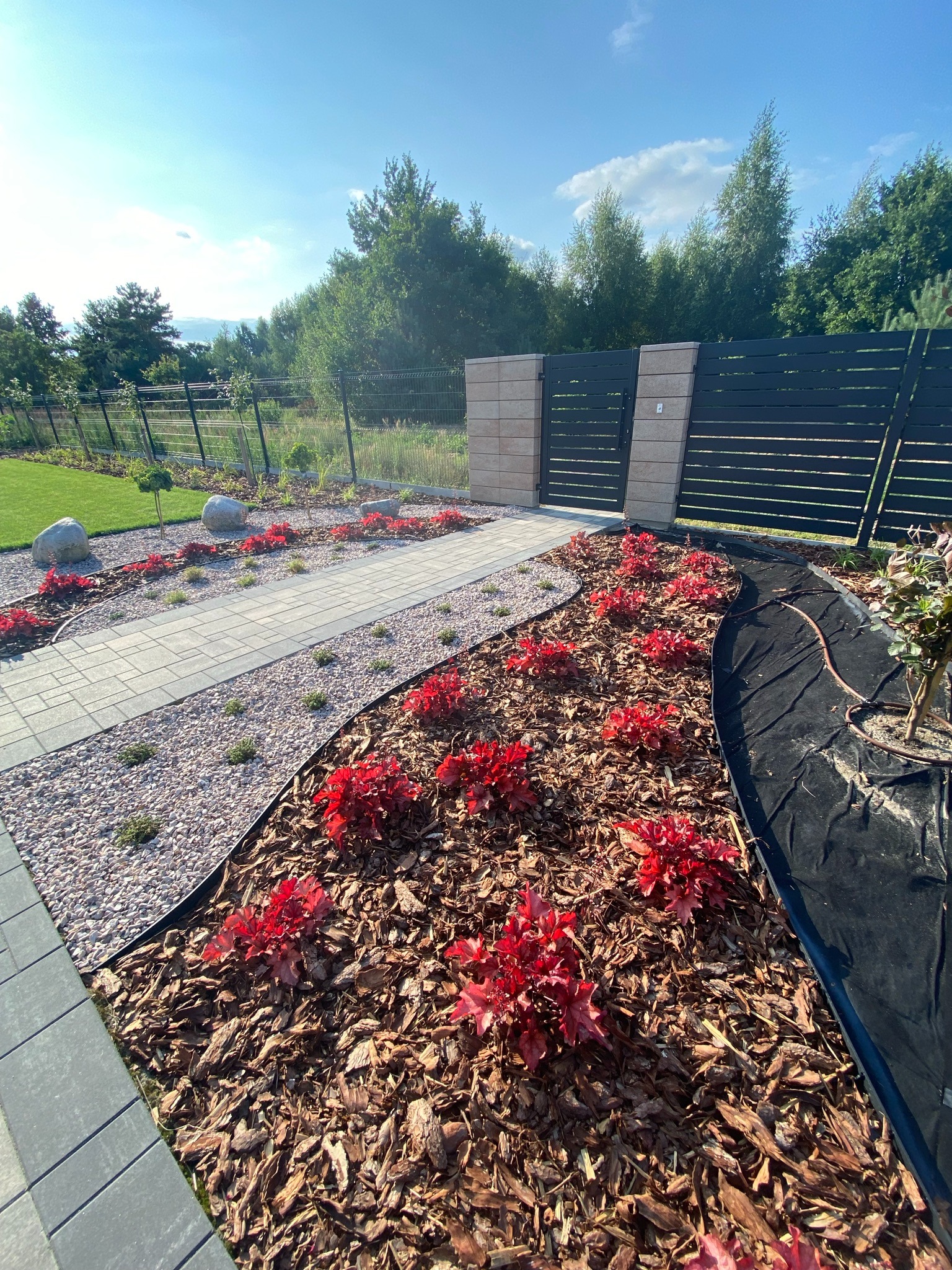 Ogród w Kałęczynie z ścieżką z kostki, żwirem i rabatami z kory oraz czerwonymi roślinami ozdobnymi, w tle nowoczesne ogrodzenie panelowe i brama.