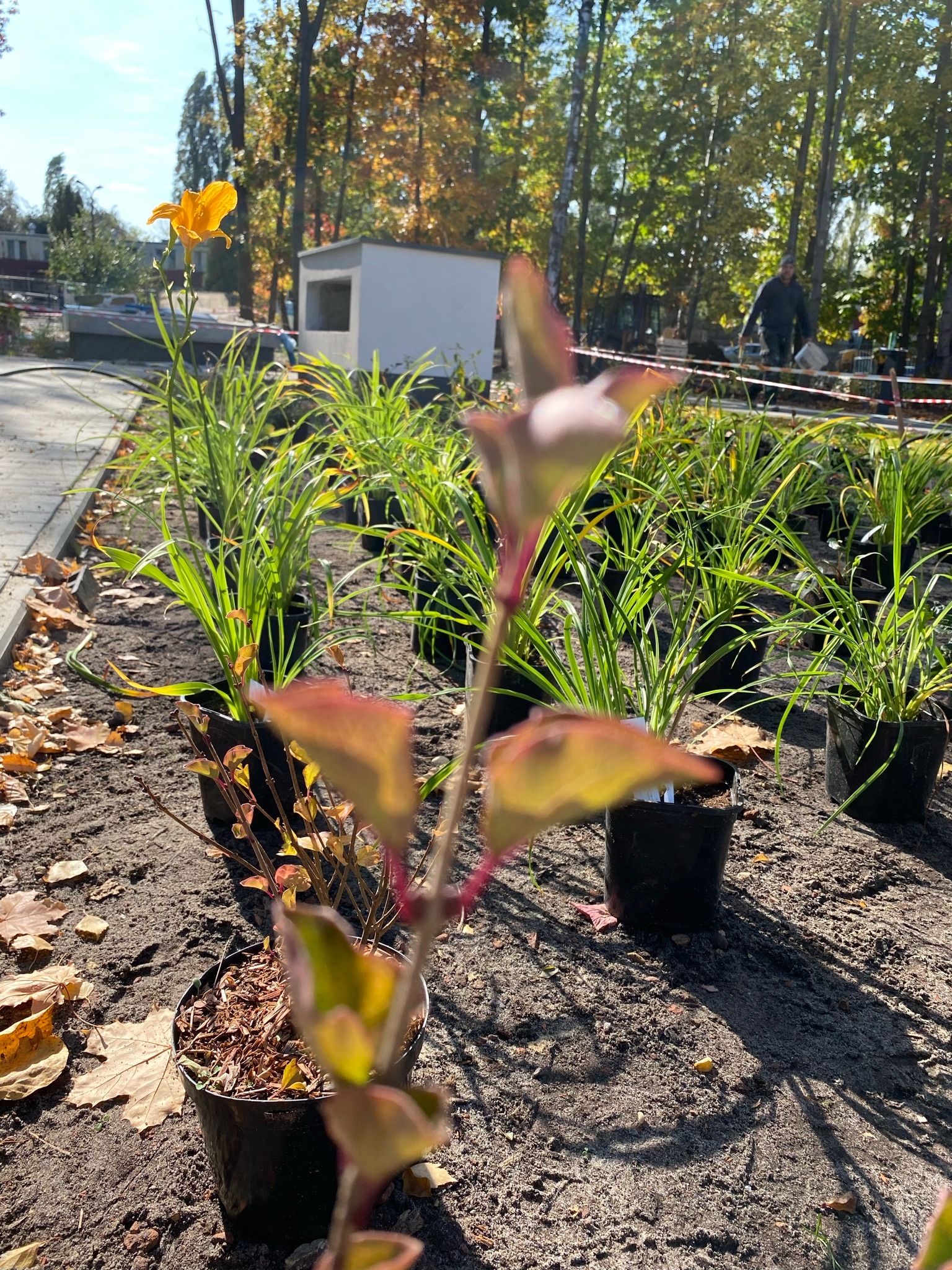 Osiedle Warszawa Młociny