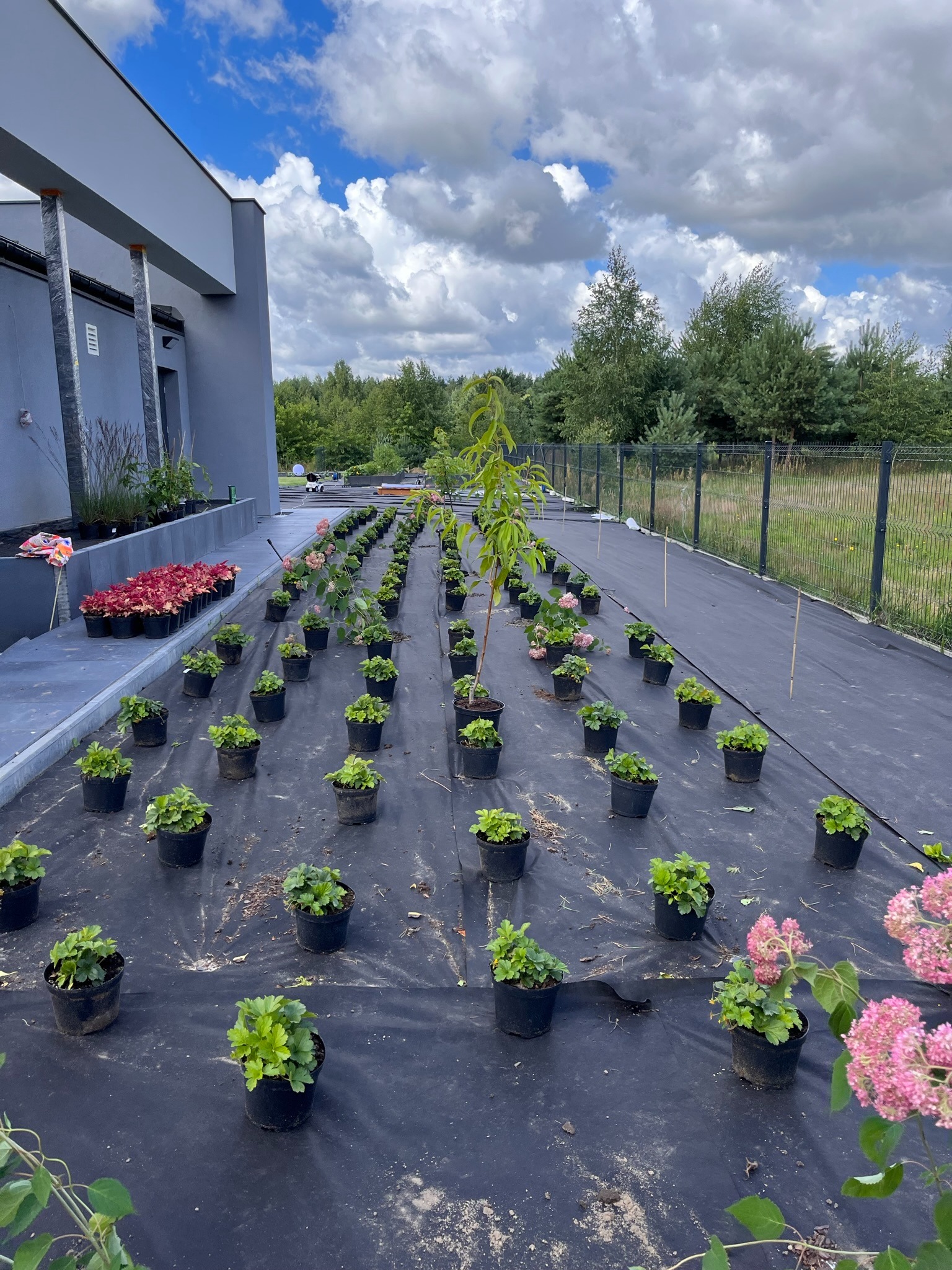 Prace Duże, gm. Tarczyn