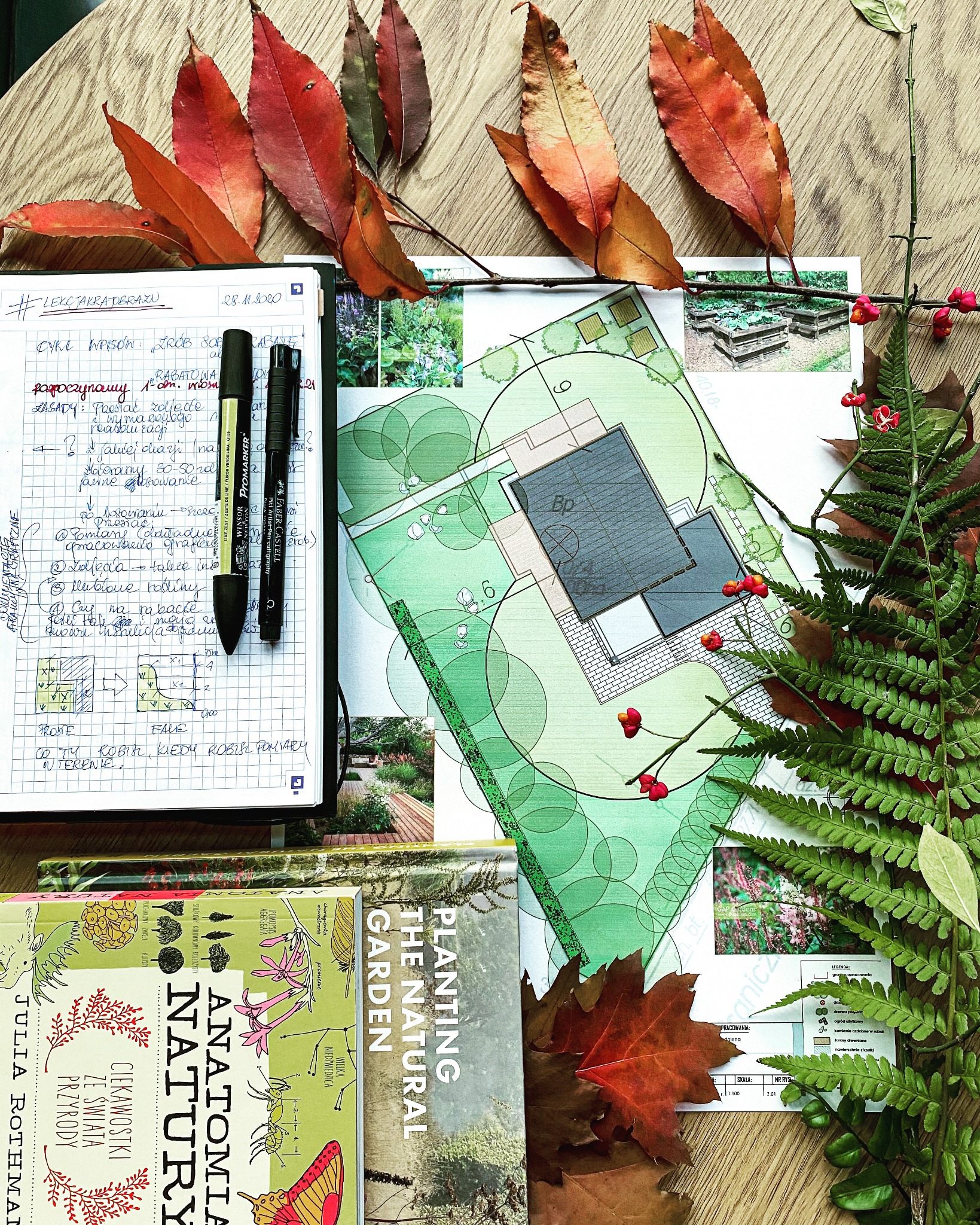 Projekt zagospodarowania terenu, Brwinów