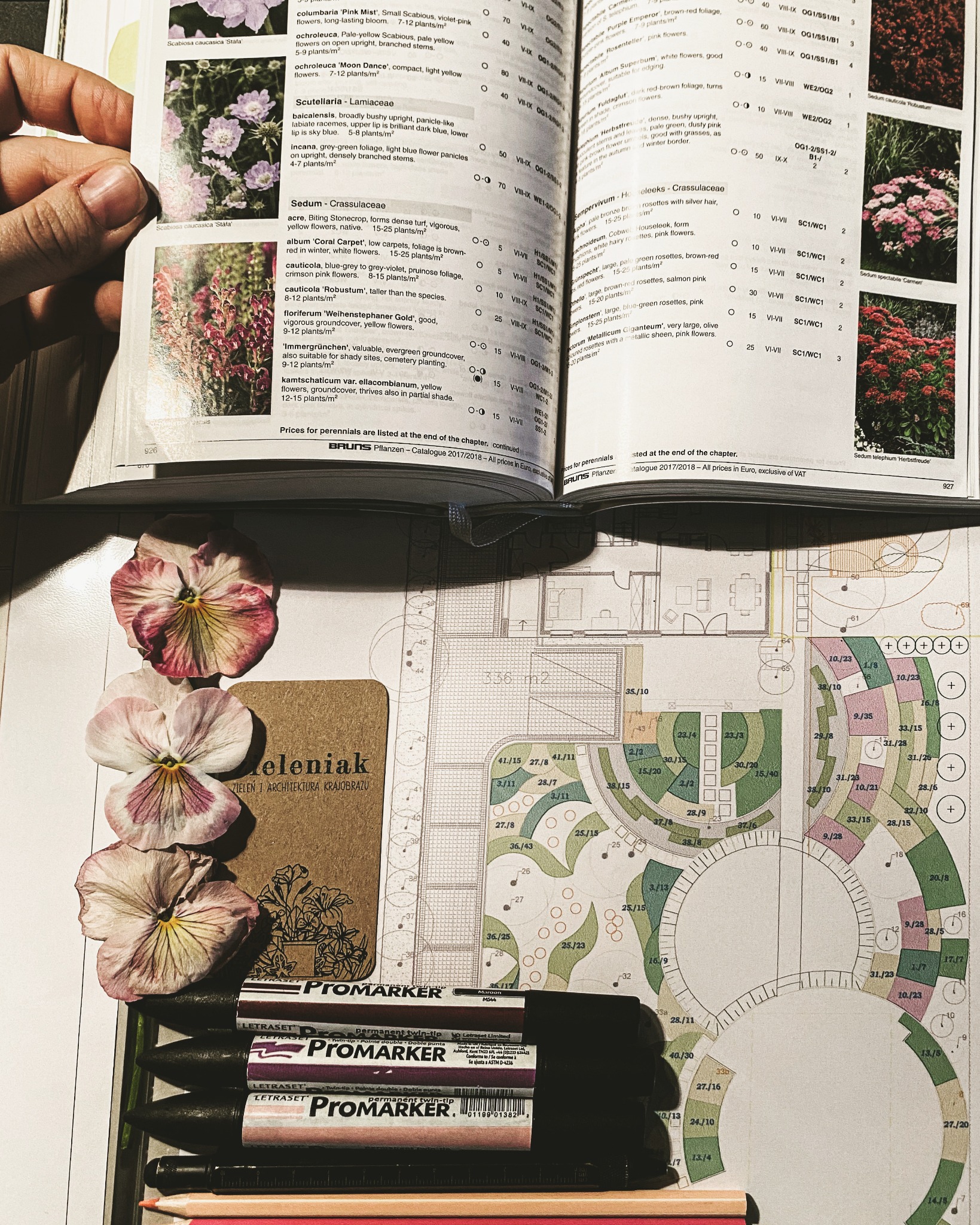 Plan zagospodarowania ogrodu z naniesionymi oznaczeniami roślin, otwarty katalog roślin i kwiatów, oraz markery kreślarskie, całość dopełniają dwa kwiaty bratki.