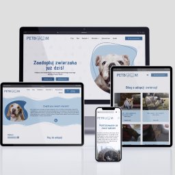 Tworzenie stron internetowych Oborniki Śląskie 2