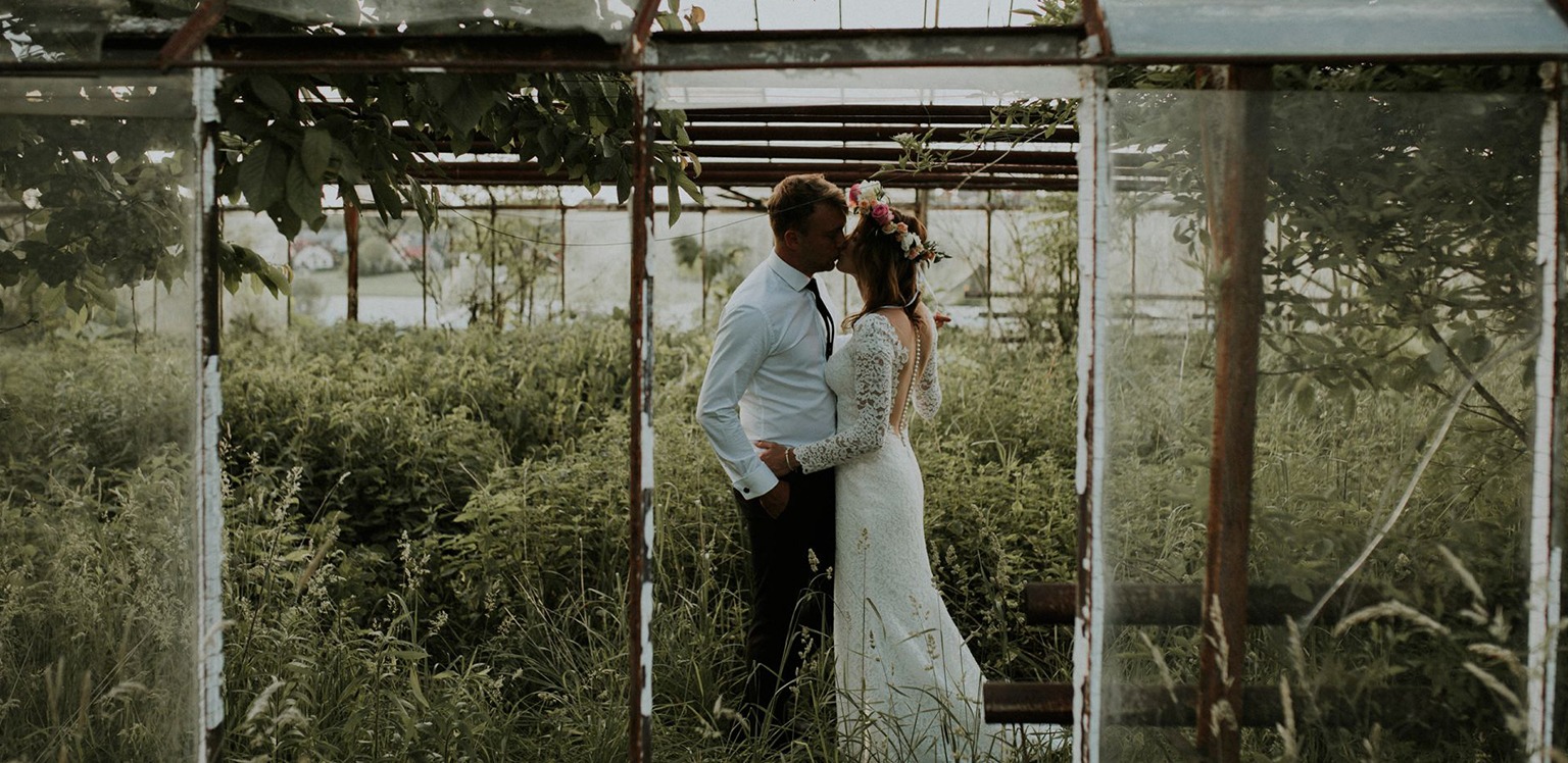 Para młoda całuje się w zarośniętej szklarni, panna młoda w koronkowej sukni z odkrytymi plecami i wiankiem z kwiatów na głowie, pan młody w białej koszuli i czarnym krawacie.