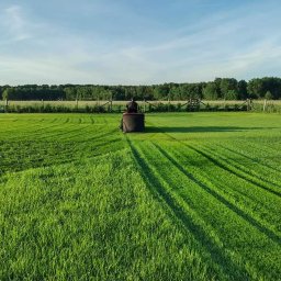 Karolina Kaszycka Zazieleni.one - Trawnik z siewu, 1500m2, pierwsze koszenie