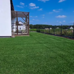 Trawnik z rolki, dostawca rolki - Poznań