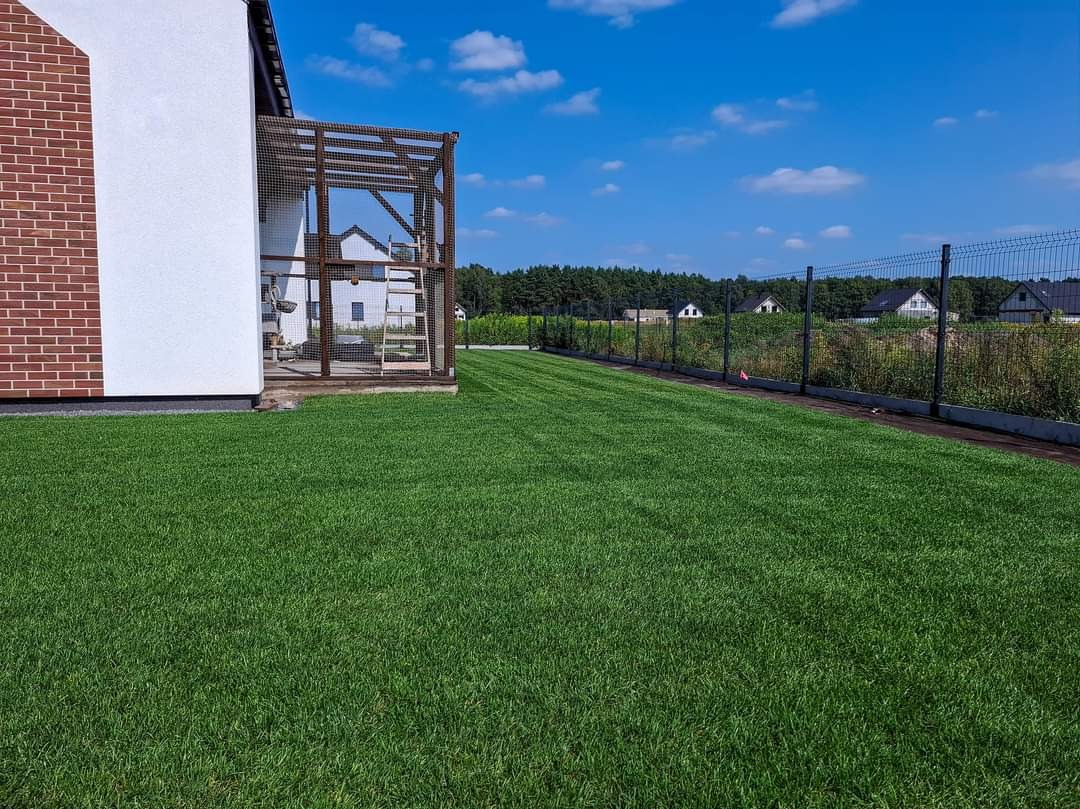 Trawnik z rolki, dostawca rolki - Poznań