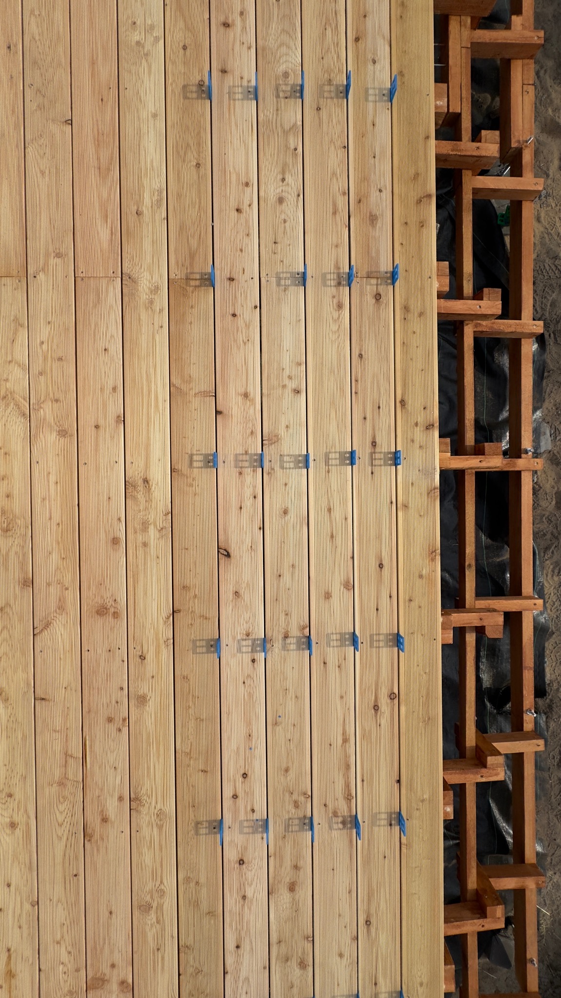 Montaż desek tarasowych z modrzewia syberyjskiego na drewnianej konstrukcji nośnej, widoczne niebieskie klipsy montażowe.