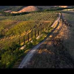 Filmy na zamówienie Mikołów 2