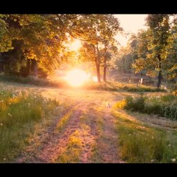 Filmy na zamówienie Mikołów 4