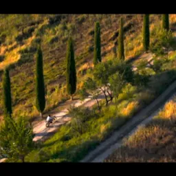 Motocyklista na szutrowej drodze, otoczony toskańskim krajobrazem z cyprysami, sfotografowany z lotu ptaka w ciepłym, popołudniowym świetle.