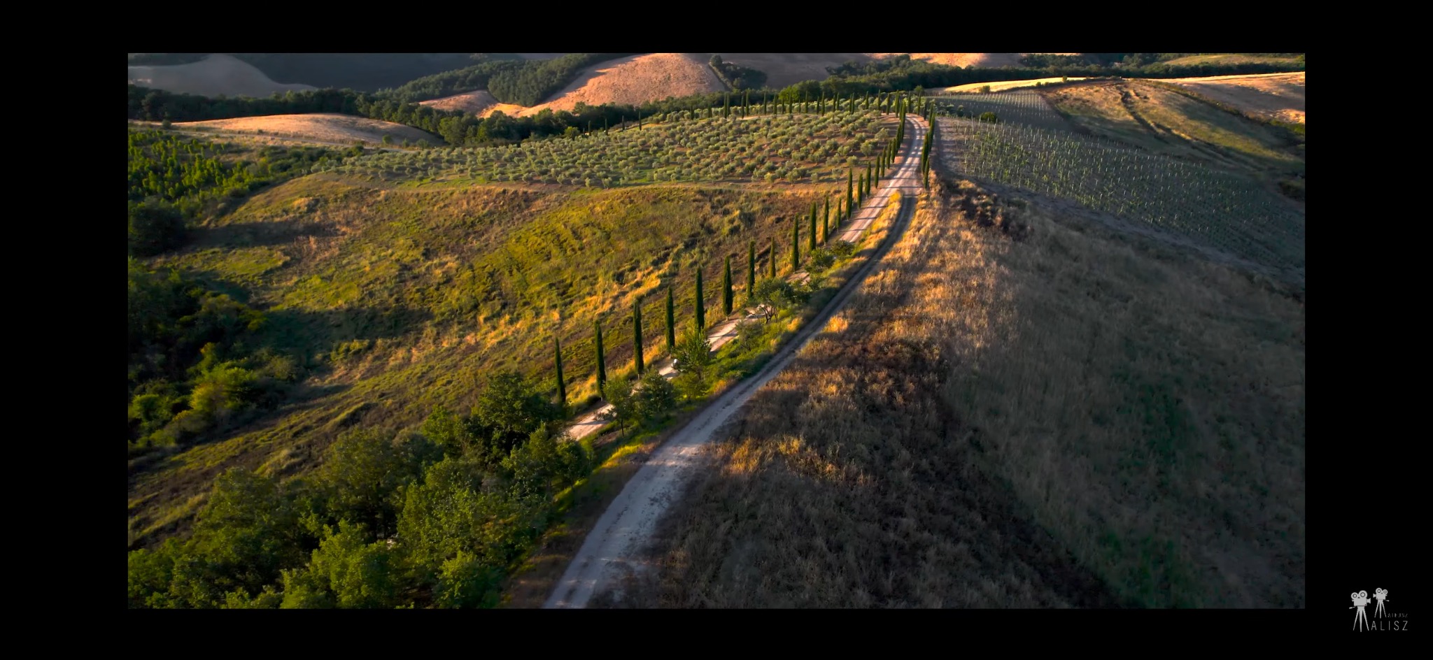 Panoramiczne ujęcie toskańskiego krajobrazu z polami, winnicami i drogą wysadzaną cyprysami, sfotografowane z lotu ptaka w ciepłym świetle zachodzącego słońca.