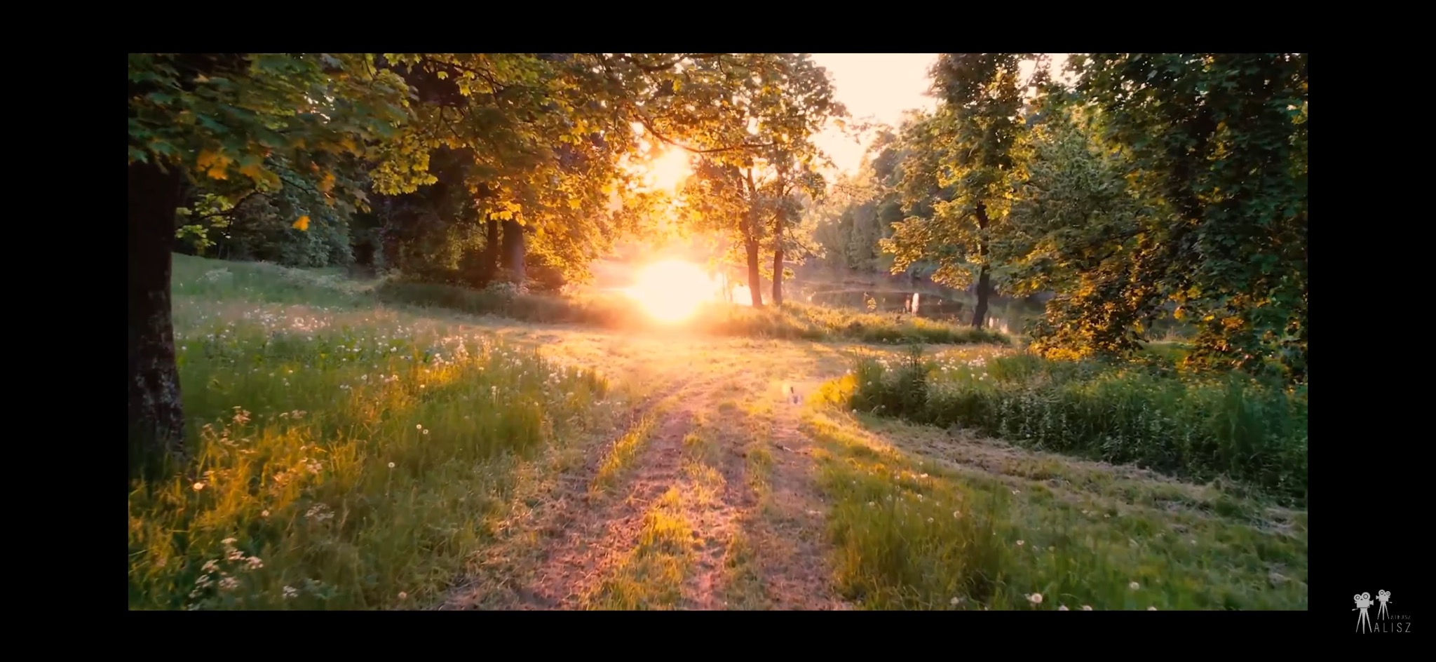 Malownicza ścieżka przez park oświetlona promieniami zachodzącego słońca, z widocznym stawem w tle i bujną zielenią drzew.