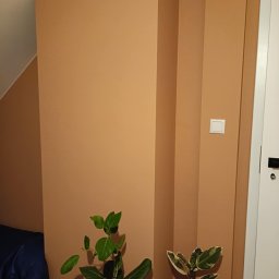 RIW remonty i wykończenia - Ściana pomalowana na kolor terakoty z widocznym narożnikiem i włącznikiem światła, uzupełniona roślinami doniczkowymi