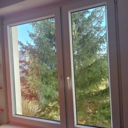 Pan Pucuś - Widok z okna na duży świerk i fragment budynku w oddali, przez czyste szyby dwuskrzydłowego okna PCV z białymi ramami.