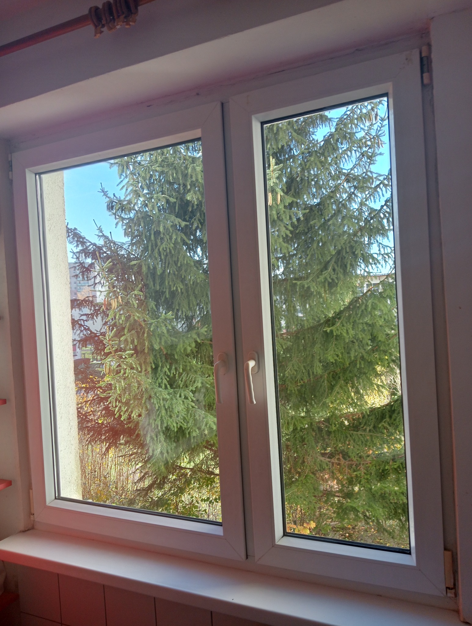 Widok z okna na duży świerk i fragment budynku w oddali, przez czyste szyby dwuskrzydłowego okna PCV z białymi ramami.