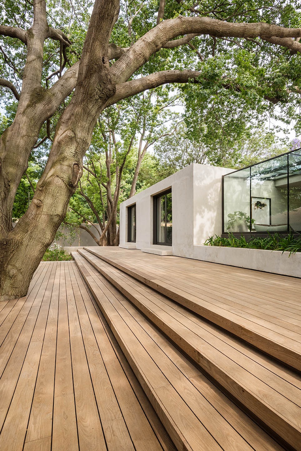 Nowoczesny taras z desek drewnianych, prowadzący do budynku z przeszkloną ścianą, otoczony zielenią i rozłożystym drzewem.