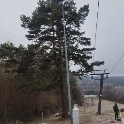 Wycinka drzew Malawa 1