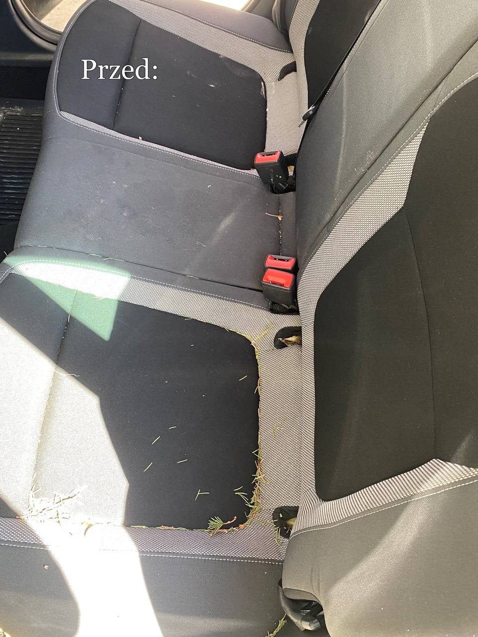 Zabrudzone tylne siedzenie samochodu z widocznymi źdźbłami trawy i kurzem, z napisem 'Przed:' sugerującym stan przed czyszczeniem.