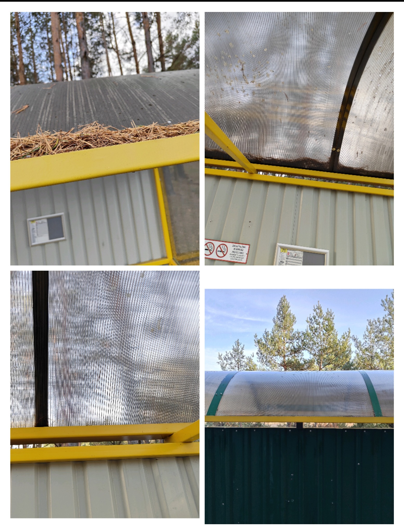 Cztery kadry z zanieczyszczonej, półprzezroczystej zadaszonej konstrukcji z żółtymi elementami, widoczne igliwie i inne zabrudzenia na powierzchni, w tle drzewa i niebo.