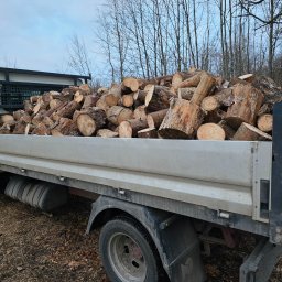 Dominik Wojtaszewski - Ciężarówka wypełniona pociętym drewnem kominkowym na tle drzew bez liści i pochmurnego nieba. Widok z boku, ukazujący załadunek drewna.