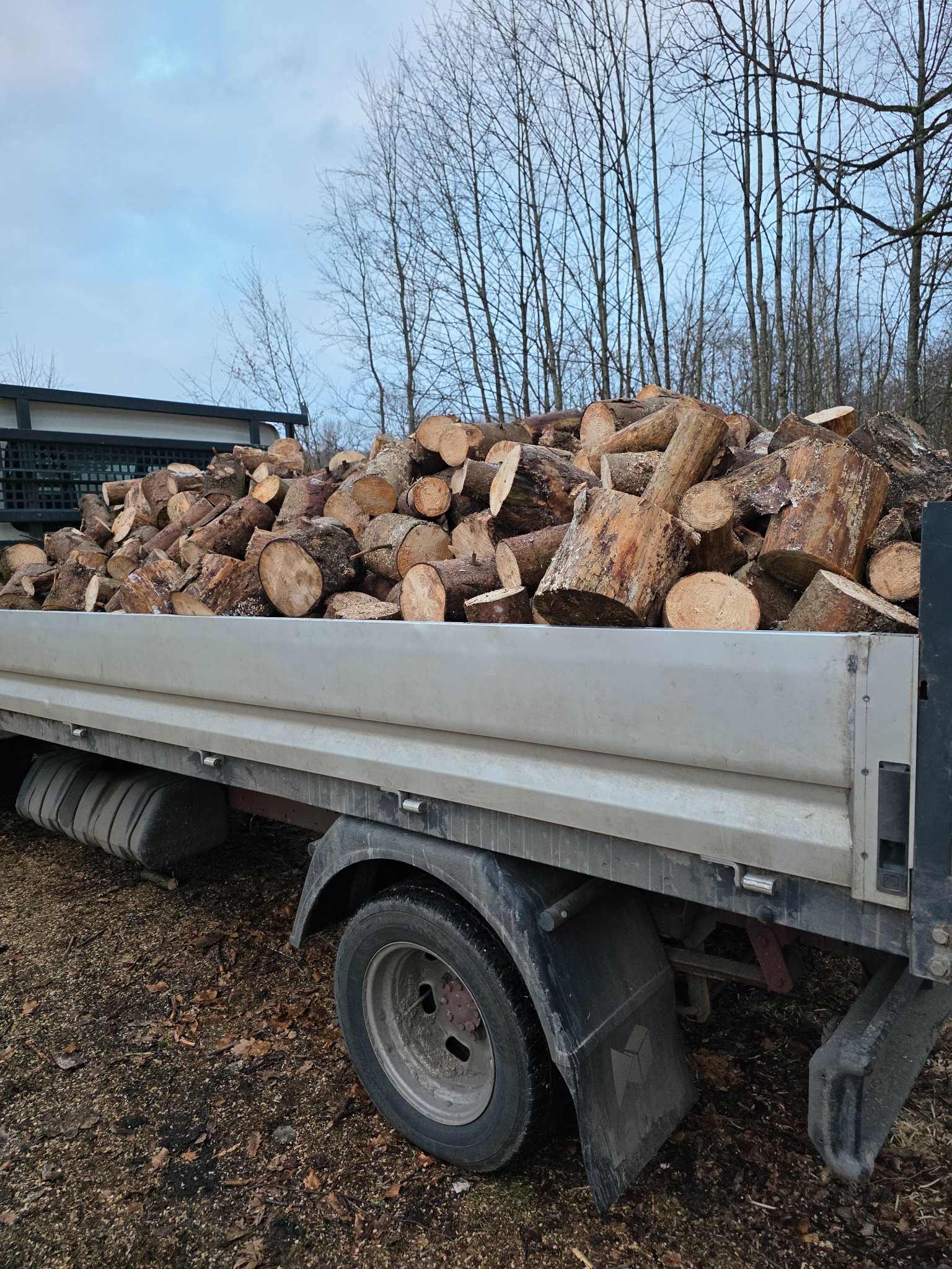 Ciężarówka wypełniona pociętym drewnem kominkowym na tle drzew bez liści i pochmurnego nieba. Widok z boku, ukazujący załadunek drewna.