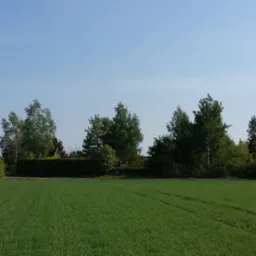 Wiejskie siedlisko Borki 2024