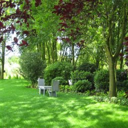 LARSEN - Zadbany trawnik z krzewami i drzewami w tle, z metalowym zestawem mebli ogrodowych. Cień drzew na trawie. Ujęcie z poziomu trawnika, w słoneczny dzień.