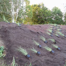 LARSEN - Przygotowany stok z nasadzeniami trawy ozdobnej w czarnych doniczkach, gotowy do dalszych prac ogrodniczych. Widok na zbocze wzgórza z roślinnością w tle.