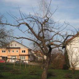 LARSEN - Rewelacyjne Wycinanie Drzew Parczew