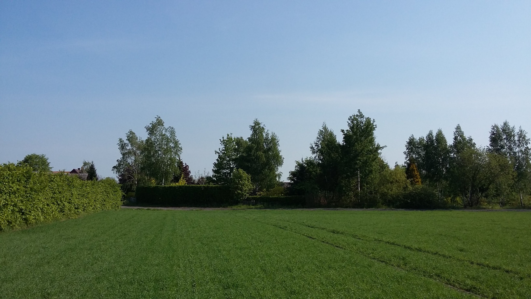 Wiejskie siedlisko Borki 2024