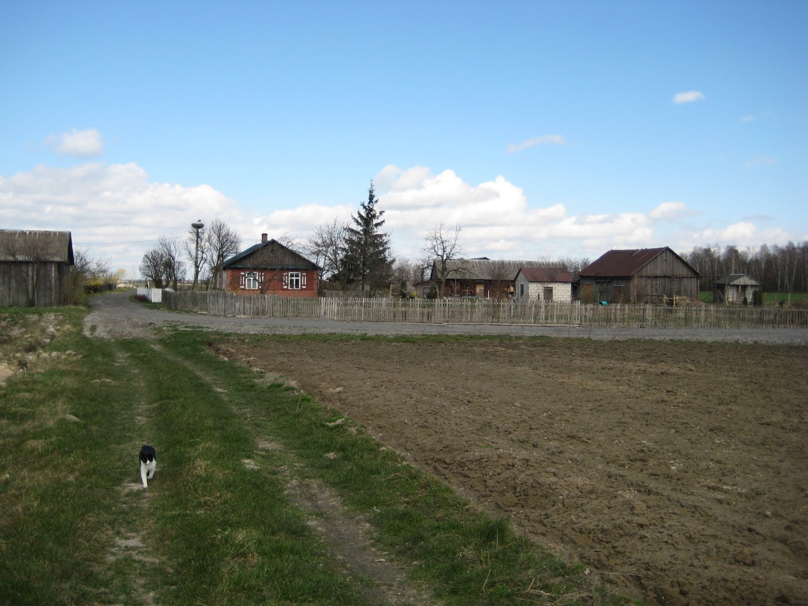 Wiejskie siedlisko Borki 2006