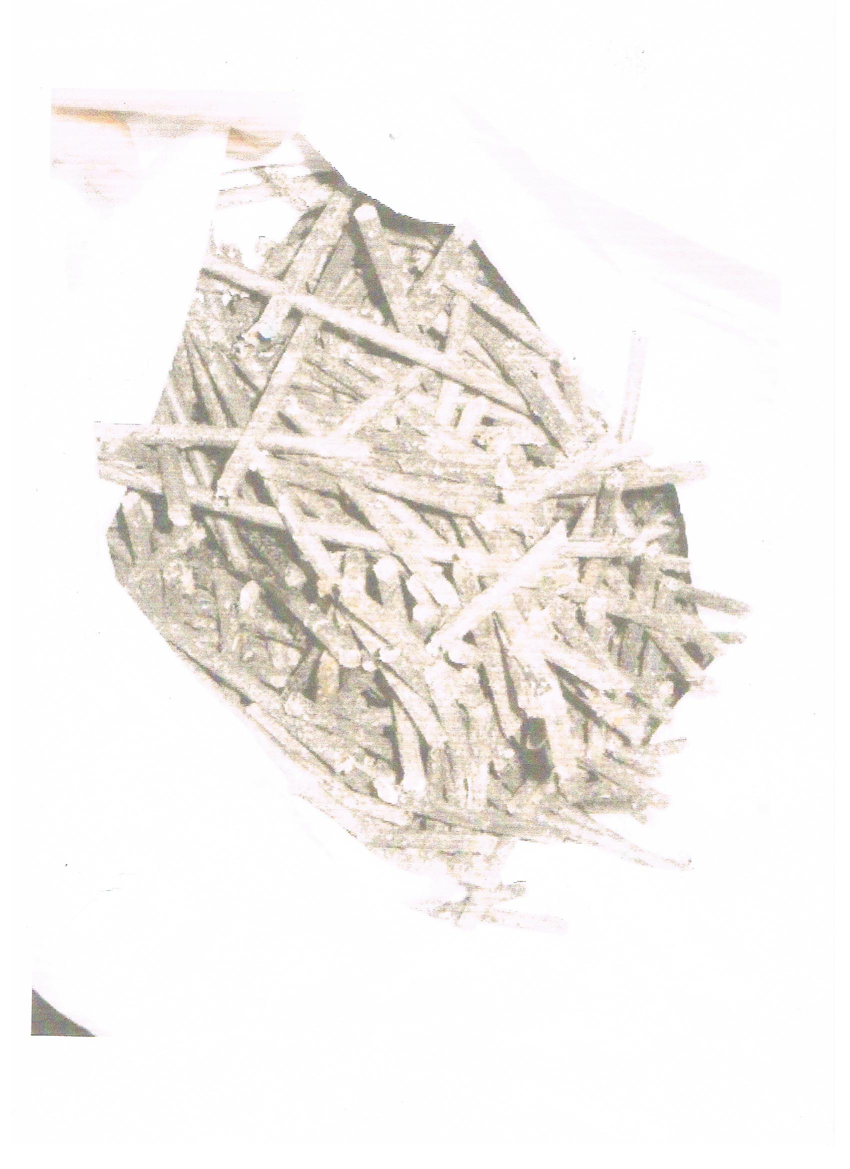 pellet, brykiet wysoka kaloryczność 5-10tyś t/miesięcznie