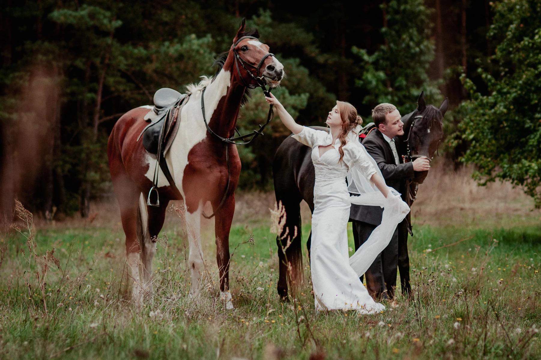 Panna młoda w białej sukni i pan młody w garniturze pozują z dwoma końmi na łące w lesie, jeden koń jest brązowo-biały z siodłem, drugi jest ciemnobrązowy.