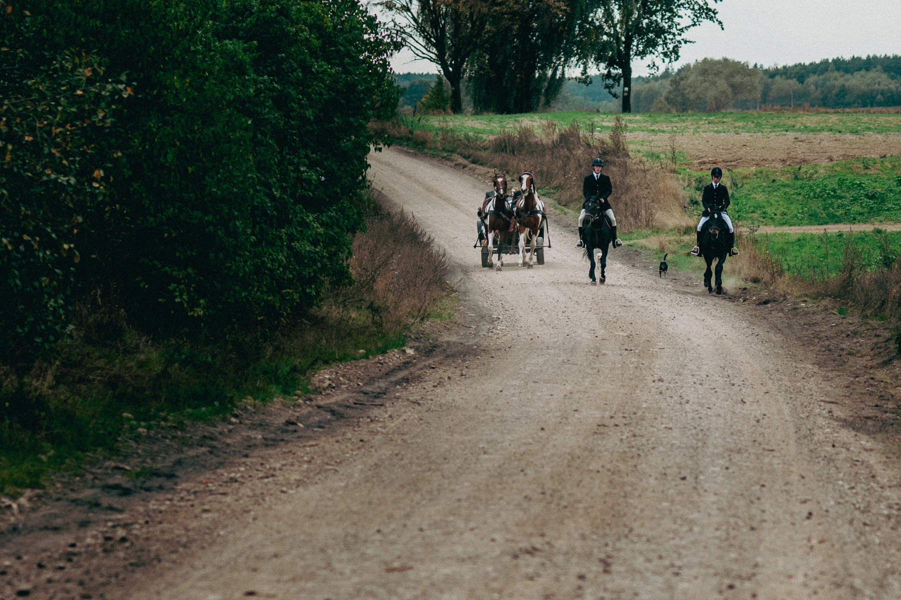 Dwie osoby na koniach w czarnych strojach jadą polną drogą, za nimi powóz konny z dwoma końmi i pasażerami, w tle zielone pola i las.