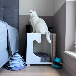 Buda Budka Domek DLA KOTA DRAPAK MiauVilla