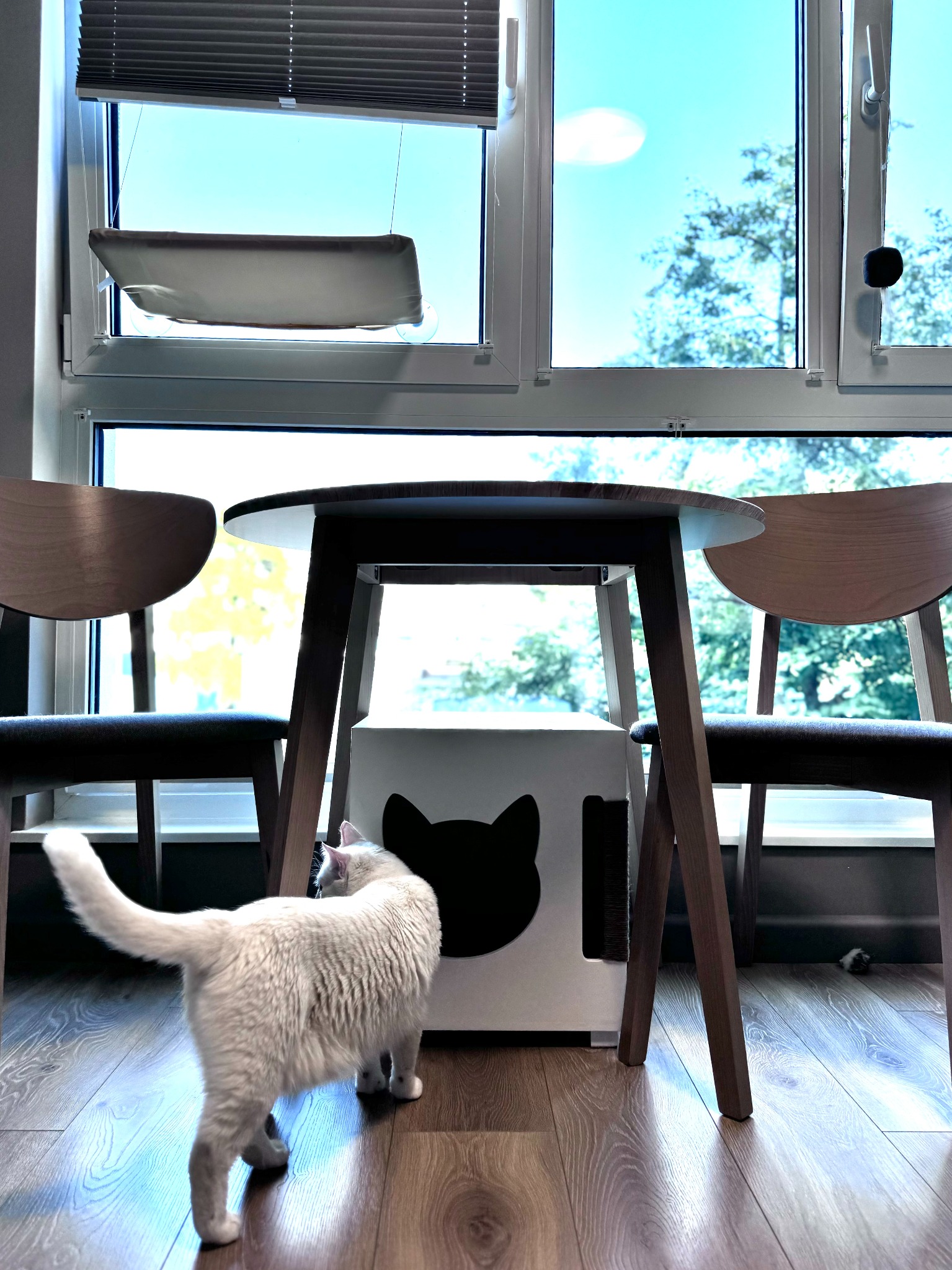 Buda Budka Domek DLA KOTA DRAPAK Kocia Rezydencja