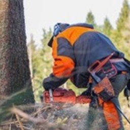 Koszenie trawy Ustrzyki Dolne 2