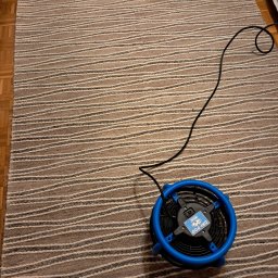 Nadiia Hirchytsia NaMi-Clean - Suszarka do dywanów DRI-POD na wzorzystym dywanie w paski, kabel zasilający widoczny na tle drewnianej podłogi.